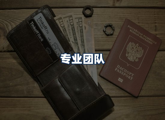 专业团队